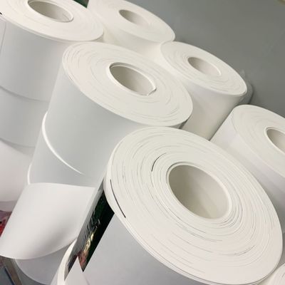 গুণ  0.1µM - 5µM Pore Size Nylon (Polyamide) Membrane Filter Circles কারখানা